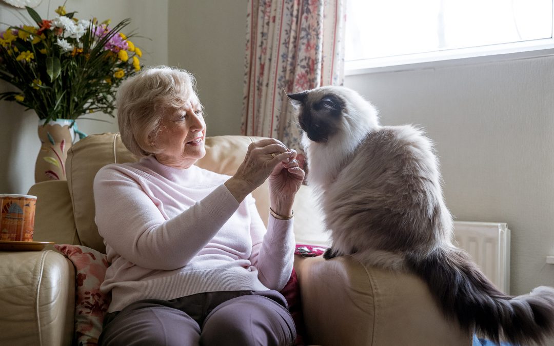 The 11 Best Companion Pets for Seniors