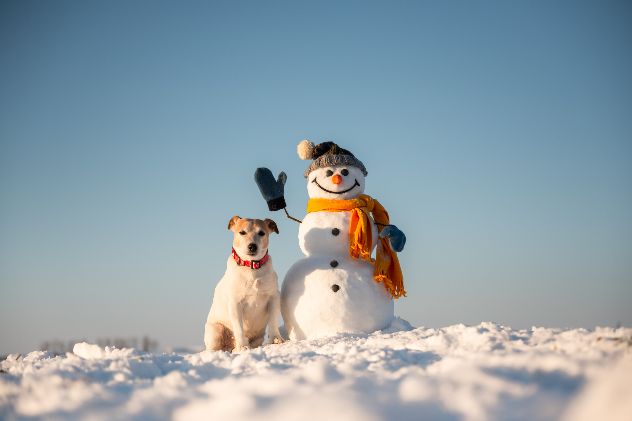 Funny snowman in knitted hat